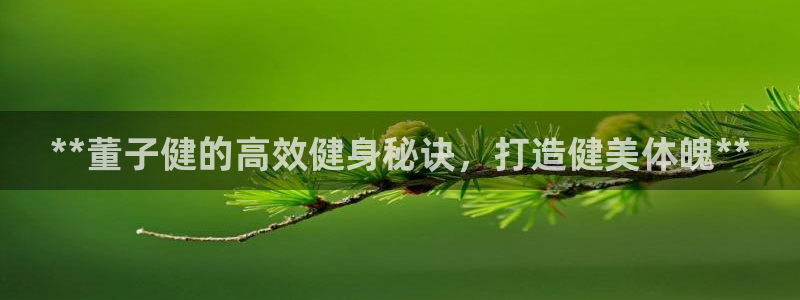龙8国际long8龙8游戏