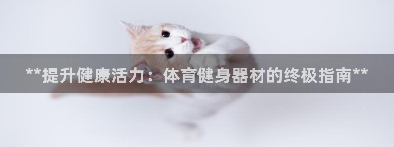 龙8游戏城网址