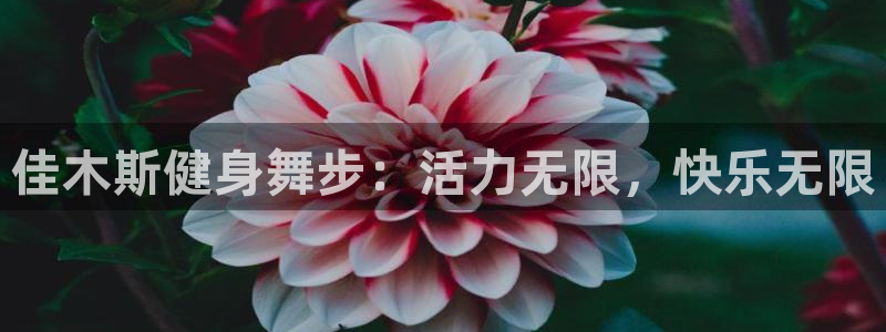 龙8国际黑钱