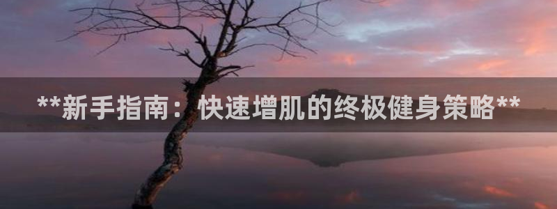 龙8游戏官方进入
