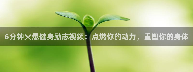 龙8国际手机网页版
