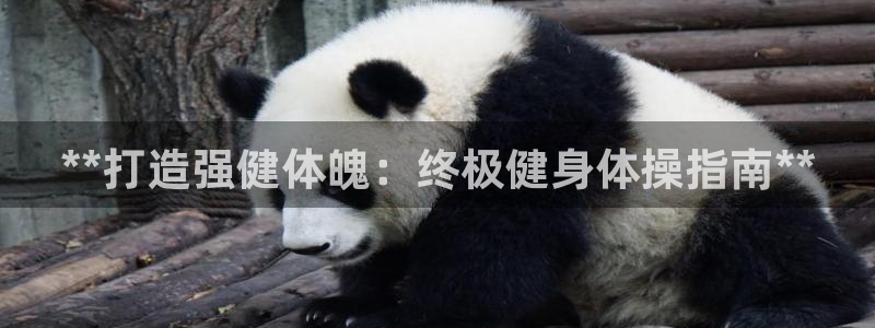 龙八国际手机在线登录