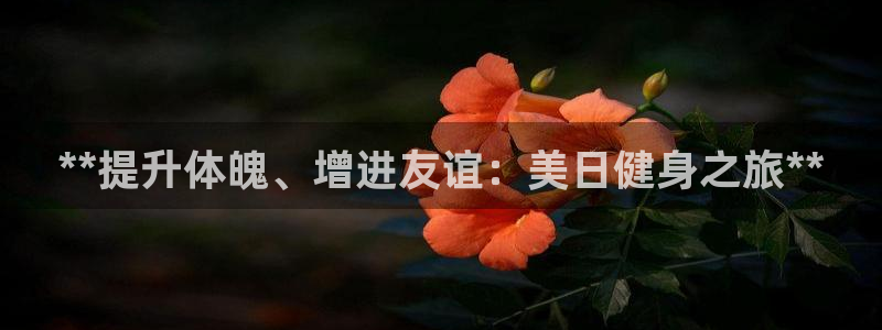 龙八国际娱乐平台网站