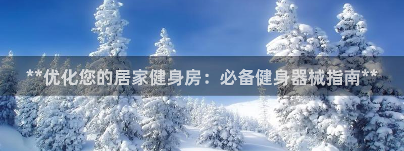 龙8国际平台官网
