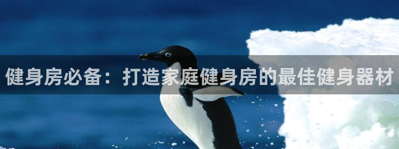 龙8娱乐官方老虎机中国大陆