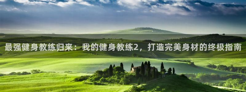 龙 八国际