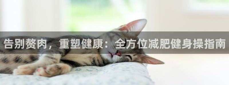 龙八国际官方网