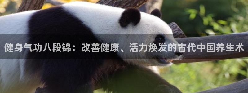 龙8娱乐官方老虎机中国大陆