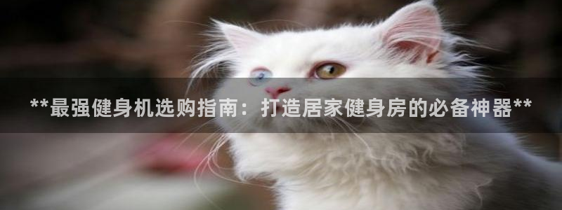 龙8国际app下载官网手机版最新版