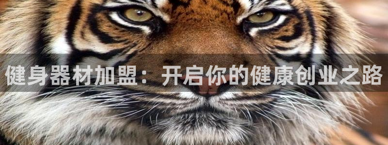 龙8手机游戏官网