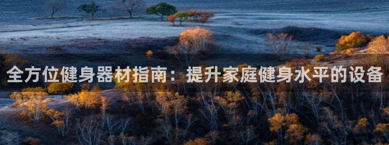 龙八国际手机在线登录