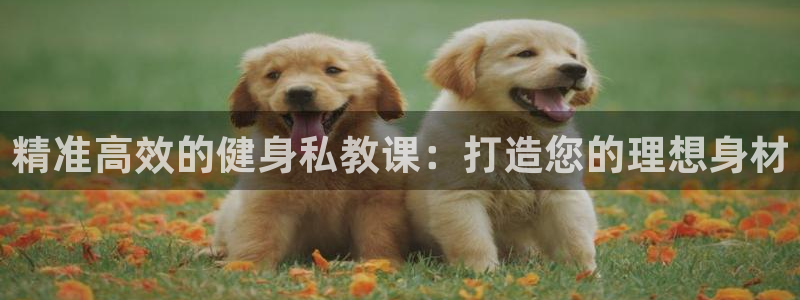 龙八国际娱