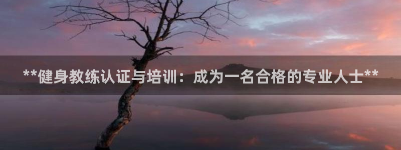 龙8国际.apk