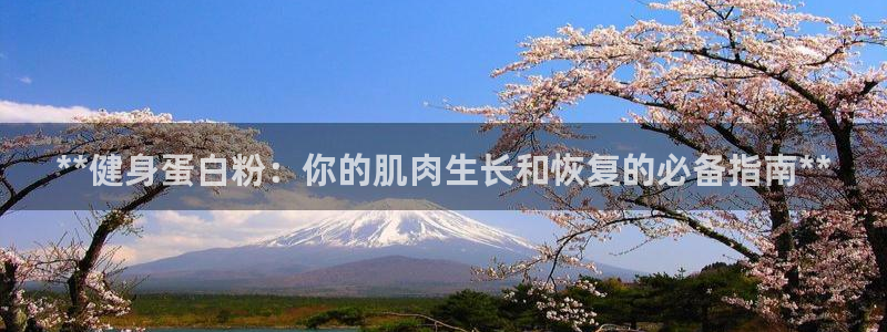 龙8国际.com