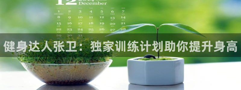 龙8国际的漏洞