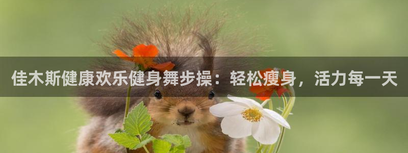 龙8国际官方网站