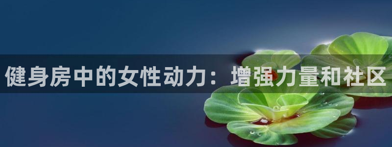 龙8国际线上