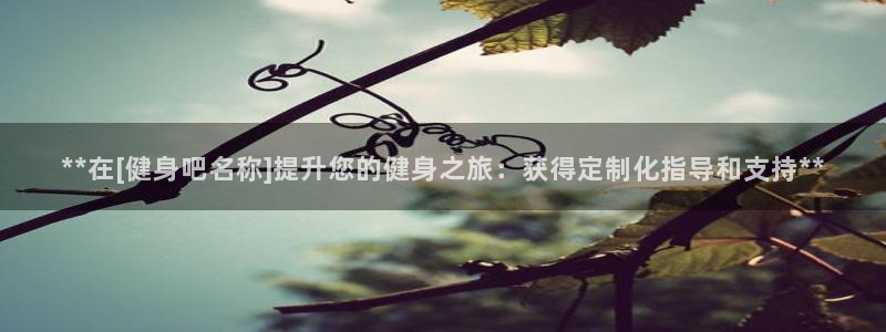 龙8国际long88(中国)官方网站