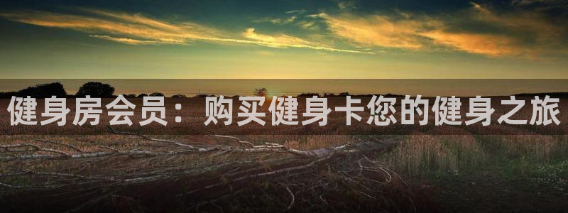 龙八国际手机客户端