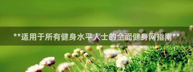 龙8国际pt