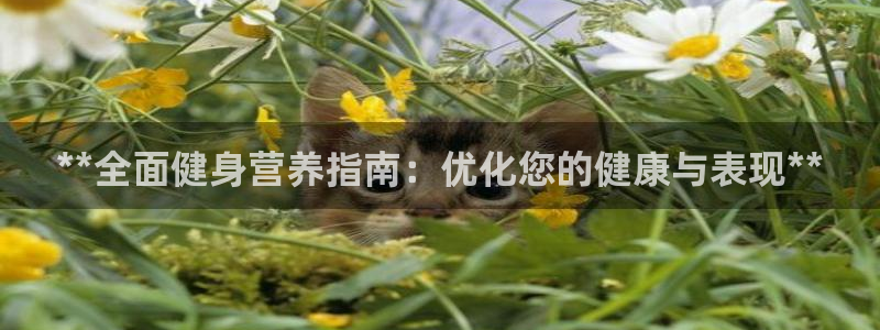 龙8国际是什么