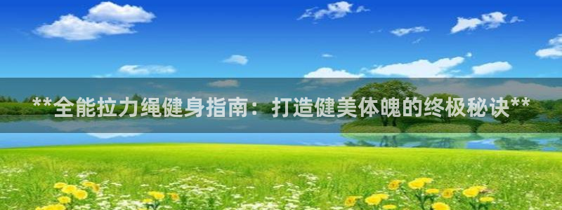 龙8国际是什么