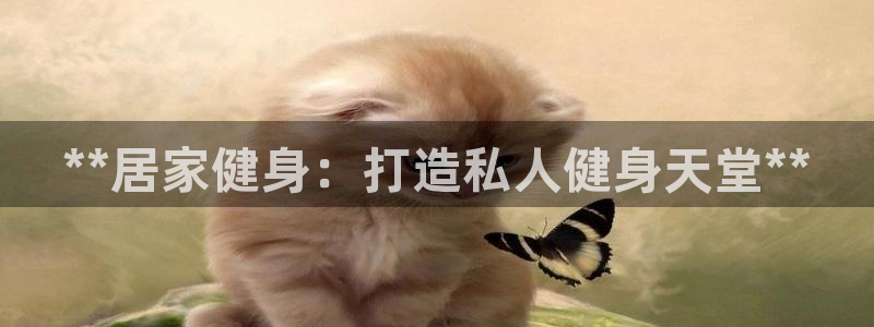 龙8国际游戏娱乐