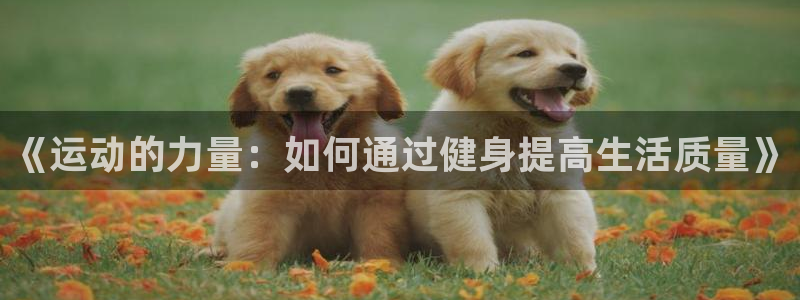 龙8国际在线