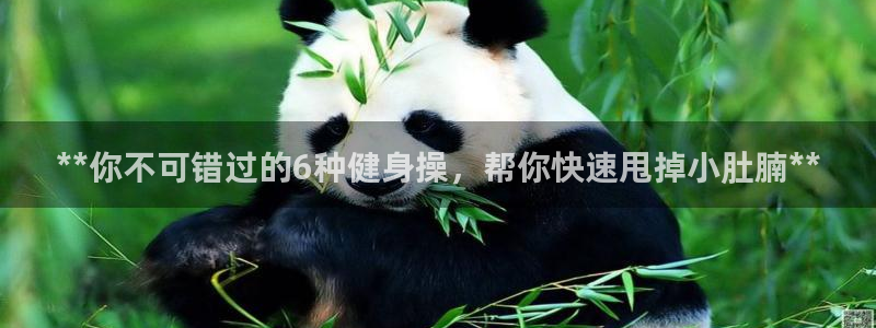 龙8国际官方网站手机版