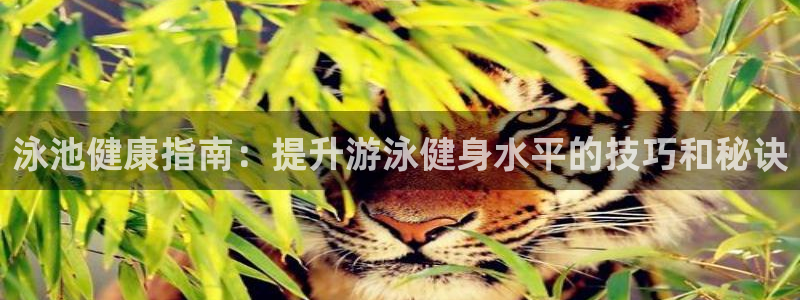 龙8国际手机登录官网