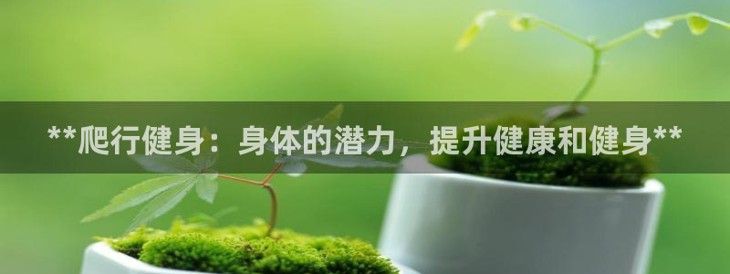 龙8国际真钱