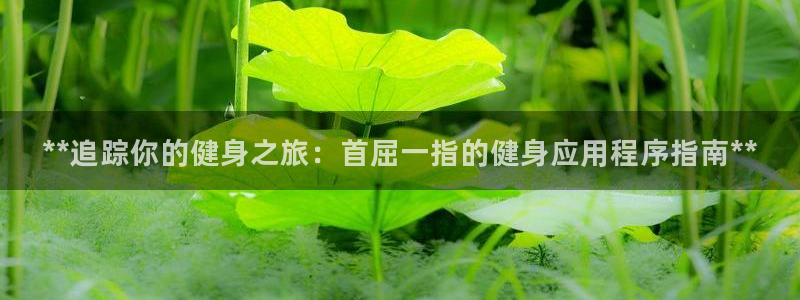 龙8老虎机手机版