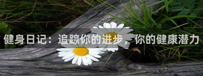 龙八国际网页