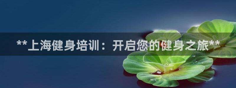 龙8国际欢迎您