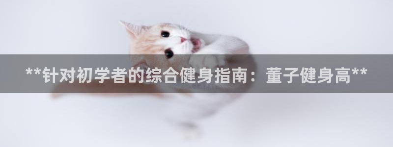 龙8国际是什么