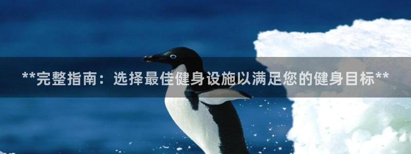 龙八棋牌