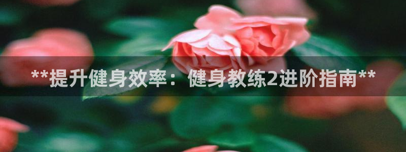 龙8国际老虎机娱乐