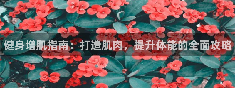 龙8国际网站