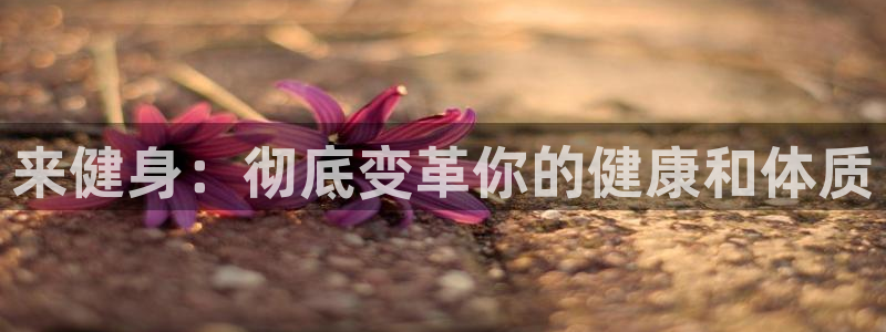 龙8国际官网多少