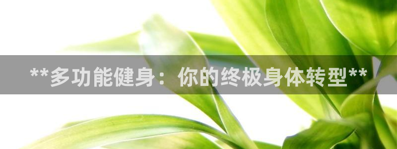龙8国际pt客户端下载