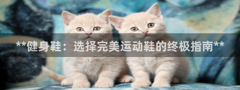 龙8游戏平台官方