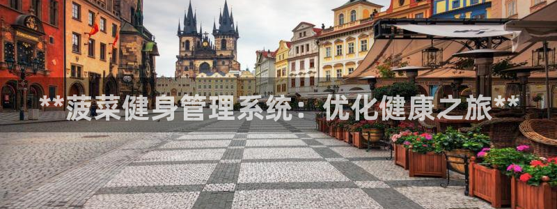 龙8国际的漏洞