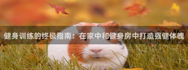 龙八国际娱乐老板是谁