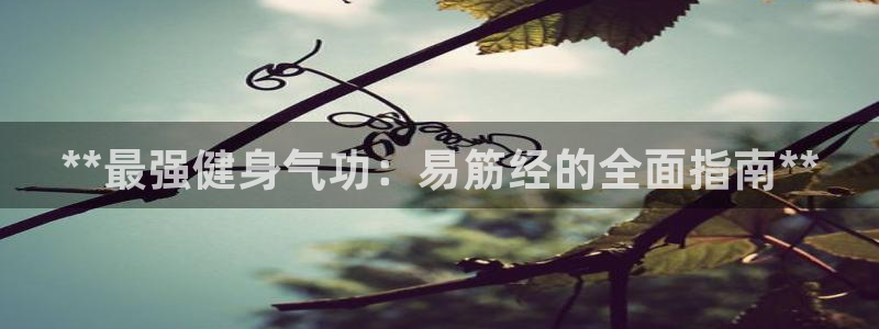 龙8国际版