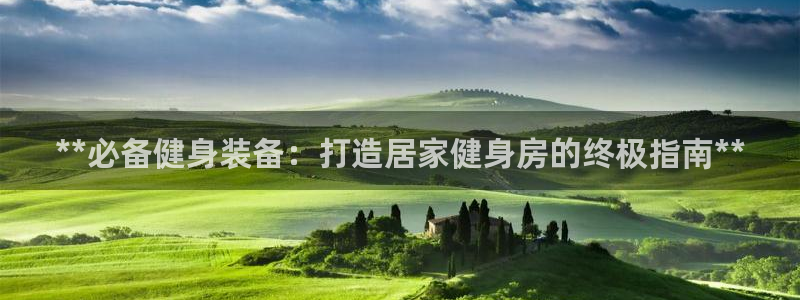 龙8国际.apk