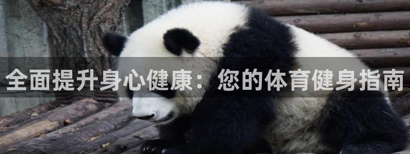 龙八国际服官网入口