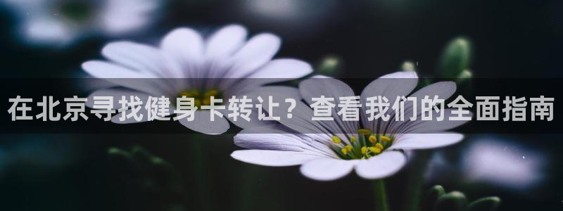 龙8老虎机手机版
