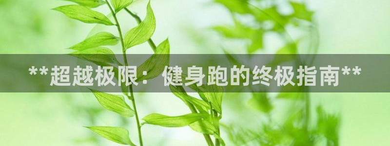 龙8国际线上
