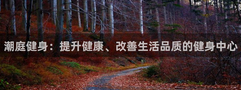龙八国际首页
