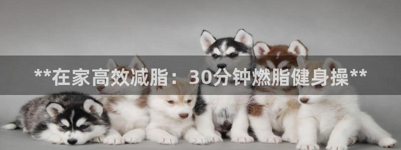 龙8国际app客户端下载不了